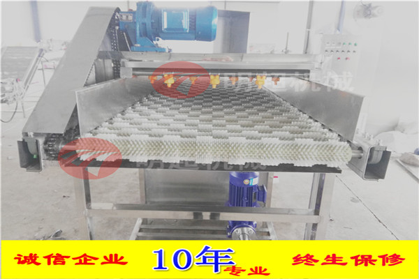 圣女果清洗流水線 圣女果清洗流水線